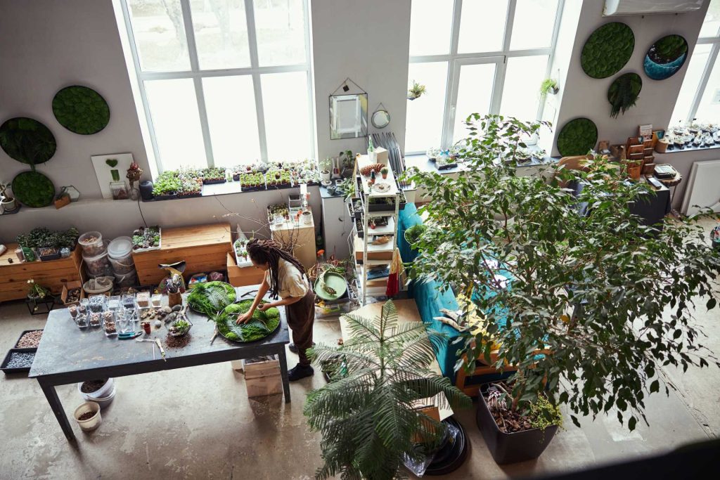 Lush indoor garden with lots of natural light.