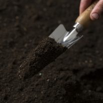 Photo of UltraGrow Black Label Garden Soil | Featured Image for the UltraGrow Black Label Garden Soil product page by Centenary Landscaping Supplies.