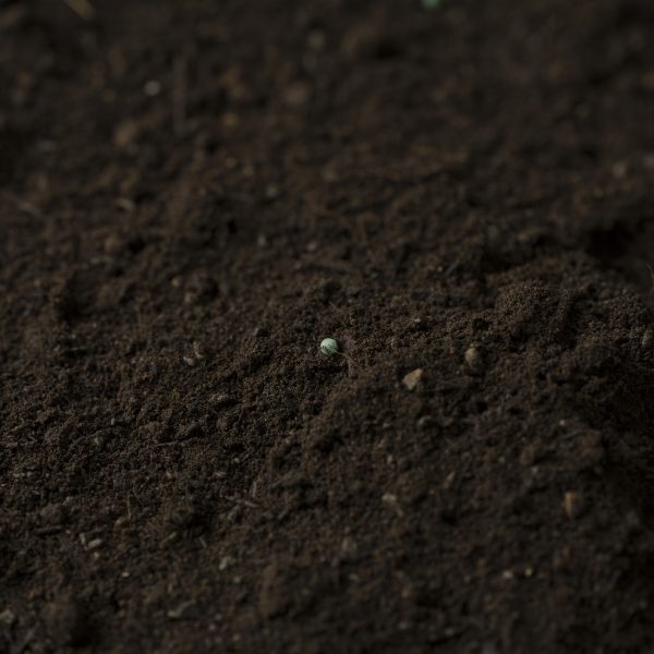 Photo of UltraGrow Black Label Garden Soil | Featured Image for the UltraGrow Black Label Garden Soil product page by Centenary Landscaping Supplies.