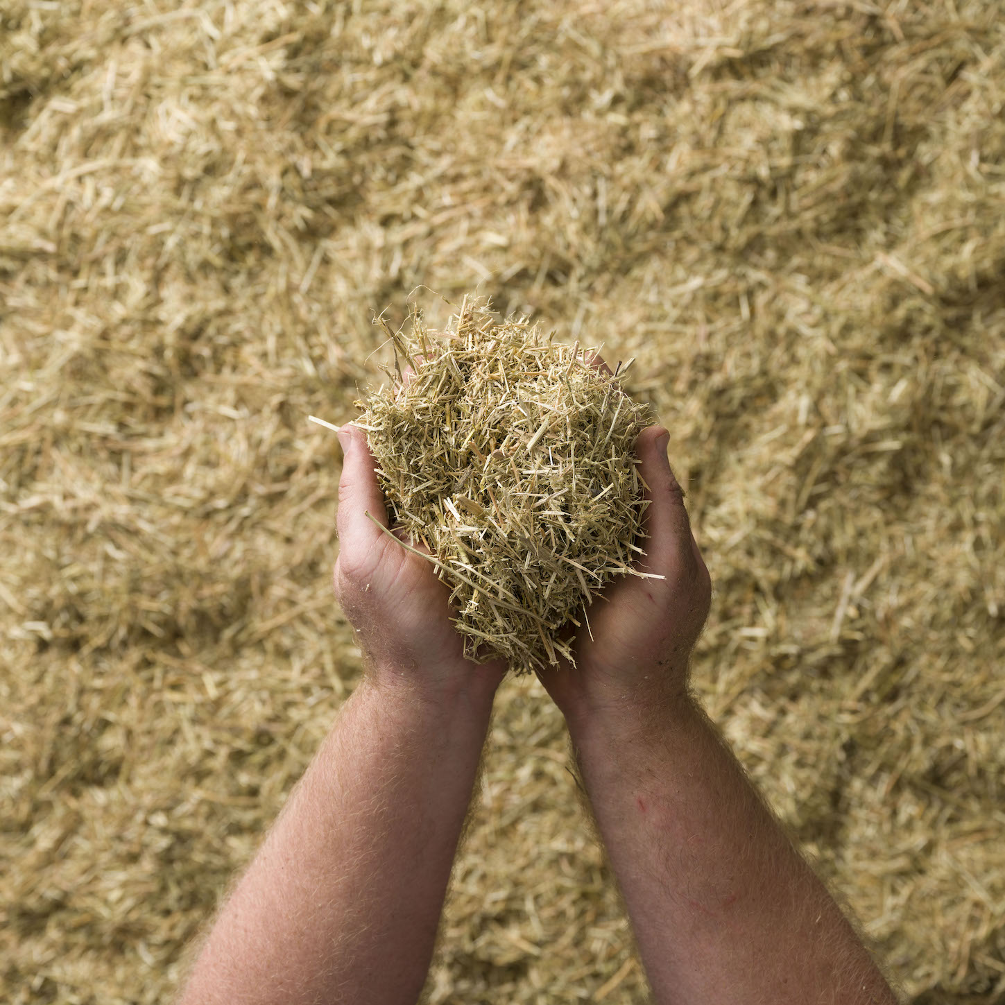 Photo of Lucerne Mulch | Featured Image for Lucerne Mulch Product Page by Centenary Landscaping Supplies.