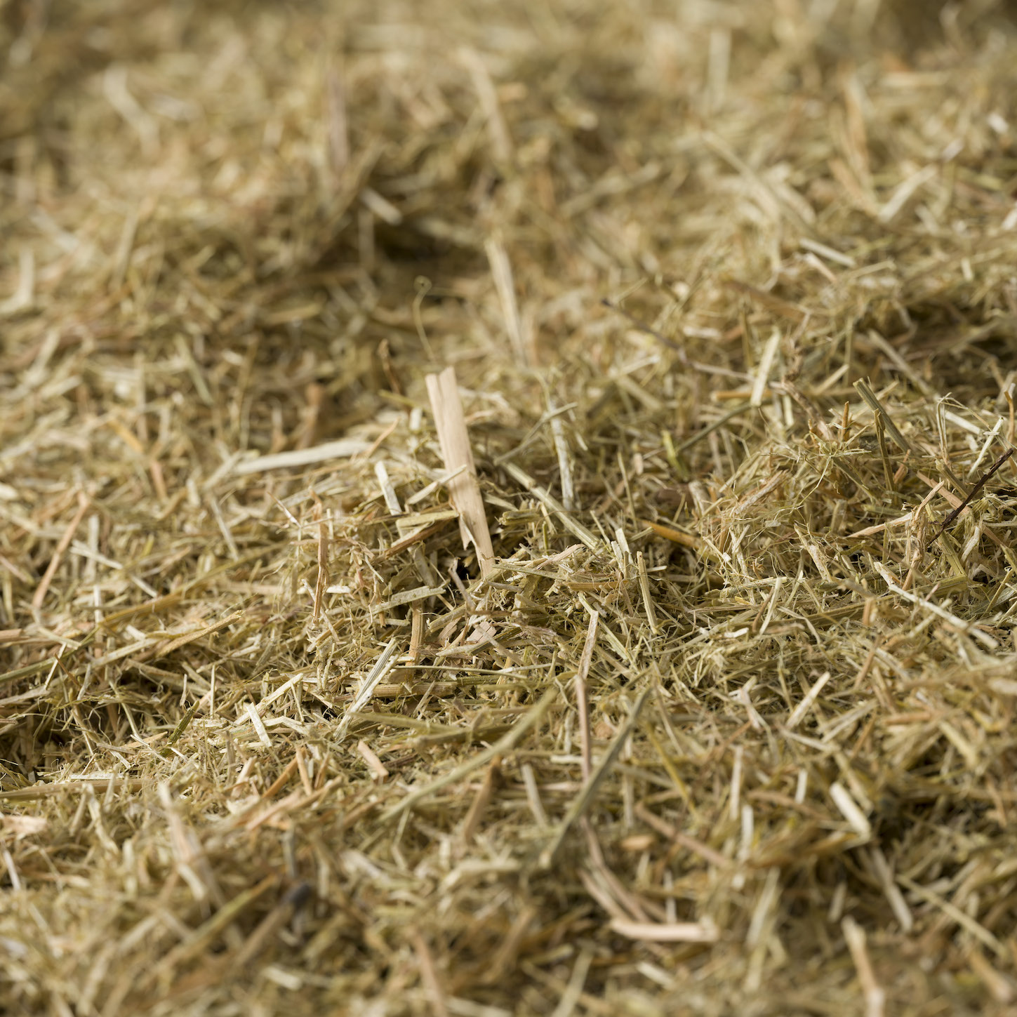 Photo of Lucerne Mulch | Featured Image for Lucerne Mulch Product Page by Centenary Landscaping Supplies.