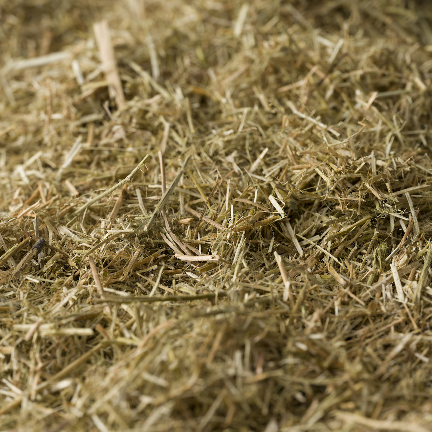 Photo of Lucerne Mulch | Featured Image for Lucerne Mulch Product Page by Centenary Landscaping Supplies.