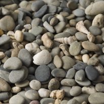 Photo of Nambucca River Pebbles | Featured Image for Nambucca River Pebble 20-40mm Product Page by Centenary Landscaping Supplies.