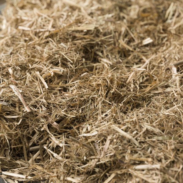 Photo of Sugar Cane Mulch | Featured Image for Sugar Cane Mulch Product Page by Centenary Landscaping Supplies.