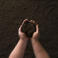 Photo of Supreme Garden Soil | Featured Image for the Supreme Garden Soil product page by Centenary Landscaping Supplies.