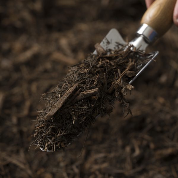 Photo of Tea Tree Mulch | Featured Image for Tea Tree Mulch Product Page by Centenary Landscaping Supplies.