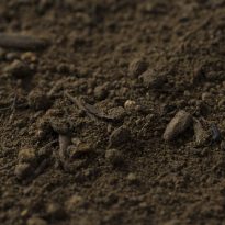 Photo of Trade Soil Mix | Featured Image for Trade Soil Mix Product Page by Centenary Landscape Supplies.