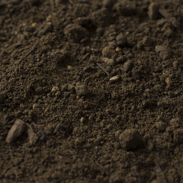 Photo of Trade Soil Mix | Featured Image for Trade Soil Mix Product Page by Centenary Landscape Supplies.