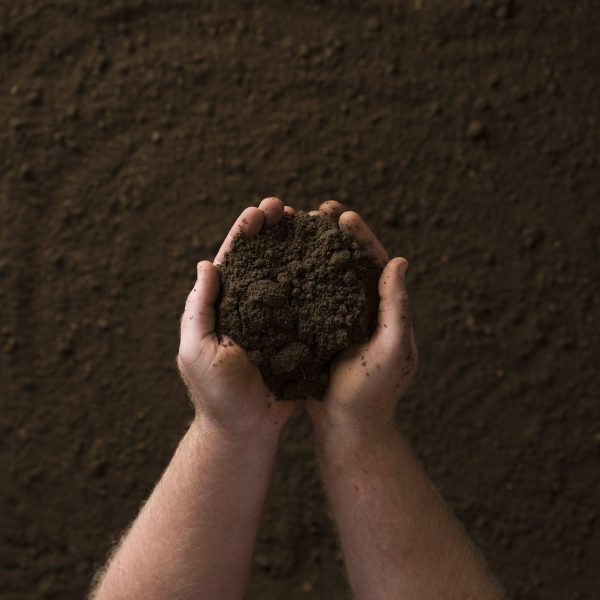 Photo of Turf Blend Natural Soil | Featured Image for Turf Blend Natural Soil Product Page by Centenary Landscape Supplies.