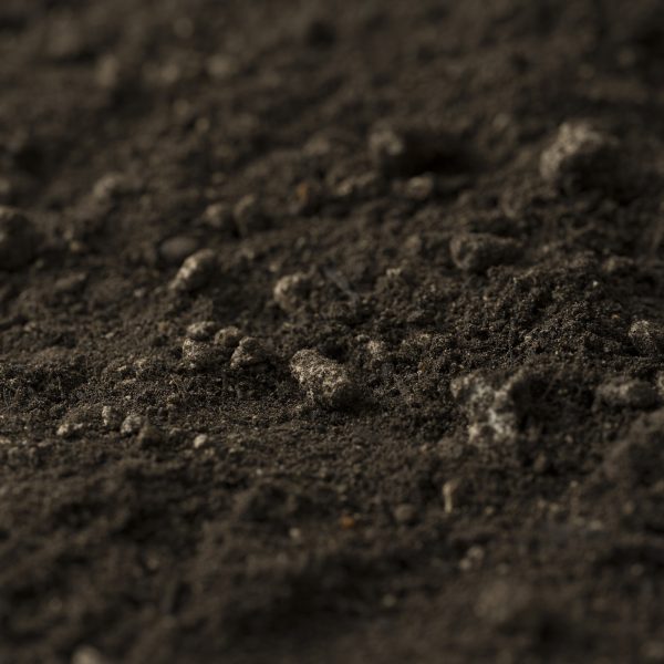 Photo of UltraGrow Podium Soil | Featured Image for UltraGrow Podium Soil on Slab A Product Page by Centenary Landscape Supplies.