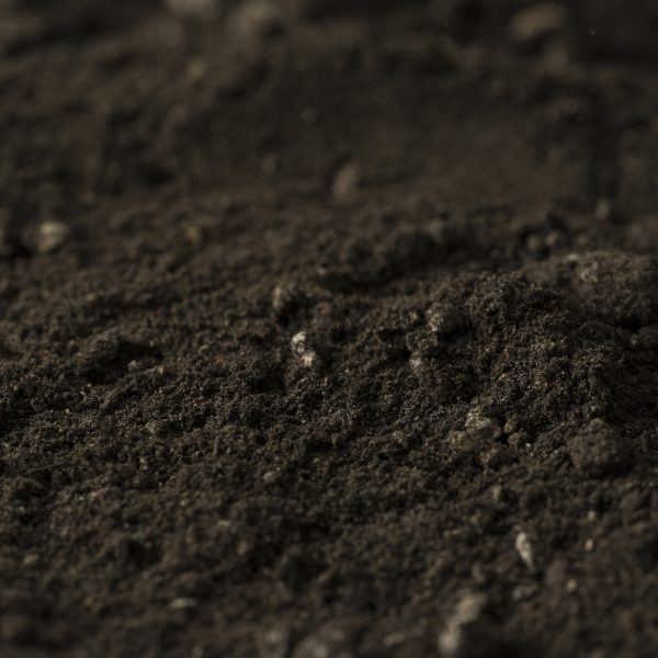 Photo of UltraGrow Podium Soil | Featured Image for UltraGrow Podium Soil on Slab A Product Page by Centenary Landscape Supplies.