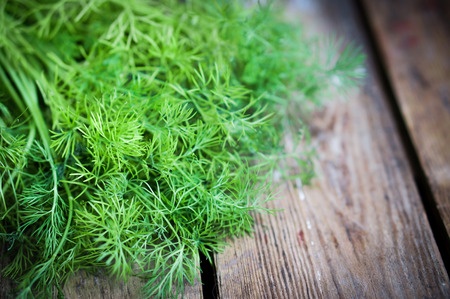 Fresh dill ready to serve.