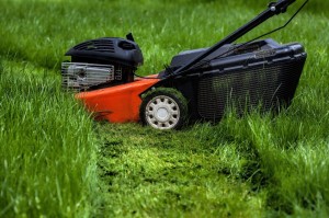 Mowing your lawn, turfing, turf, lawn care