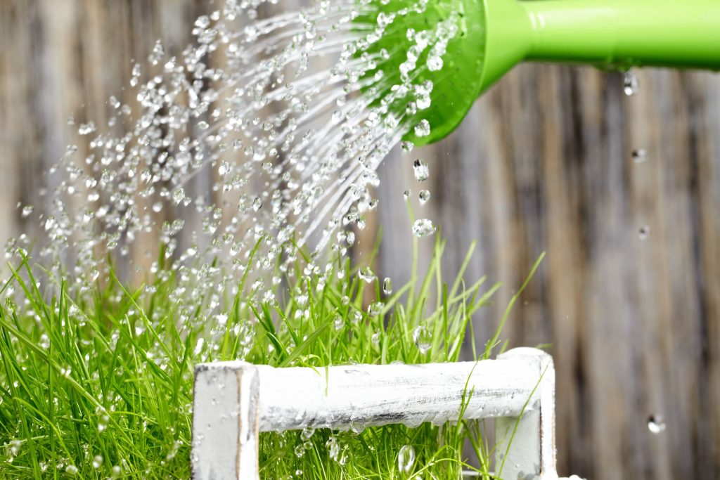 Water being poured out of a green watering can | Featured image for the Water Efficient Landscaping – 5 Tips to Create a Better Backyard blog from Centenary Landscaping Supplies.