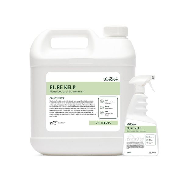 750ml and 20 litre containers of Pure Kelp UltraGrow plant food and bio-stimulant | Featured image for Pure Kelp All-Purpose Plant Food.
