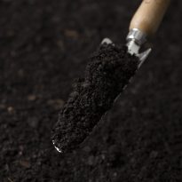 Photo of Composted Bark Blend | Featured Image for Composted Bark Blend Product Page by Centenary Landscaping Supplies.