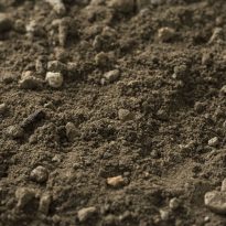 Photo of Podium Soil | Featured Image for Podium Soil Product Page by Centenary Landscape Supplies.