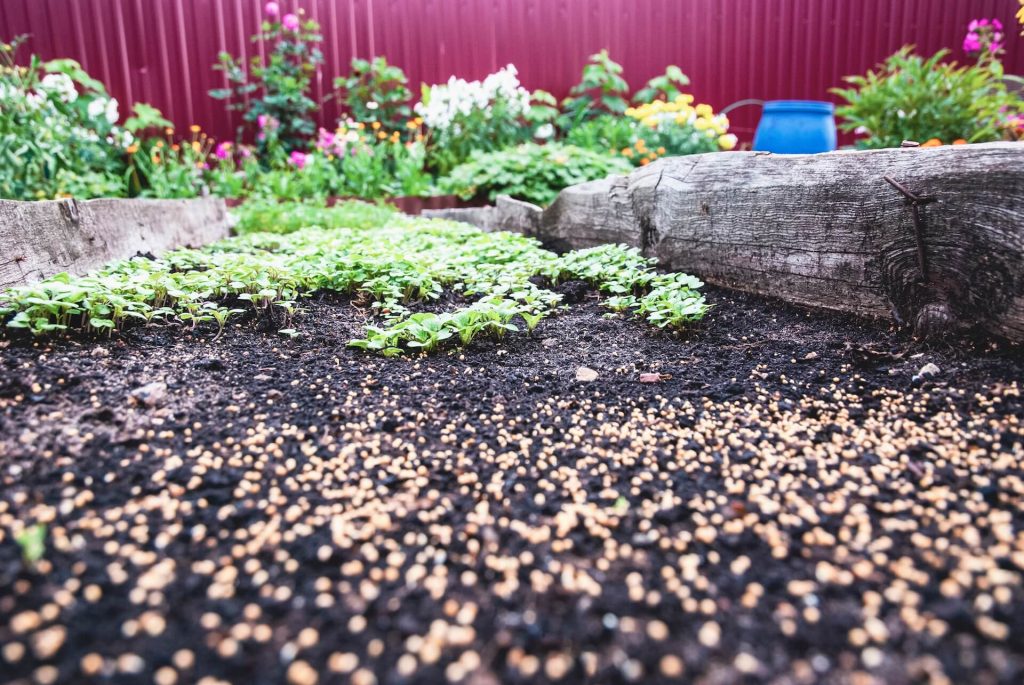 Garden using one of the many varieties of garden mulch available | Featured image for the What is Garden Mulch and Why is it Important? blog from Centenary Landscaping Supplies.