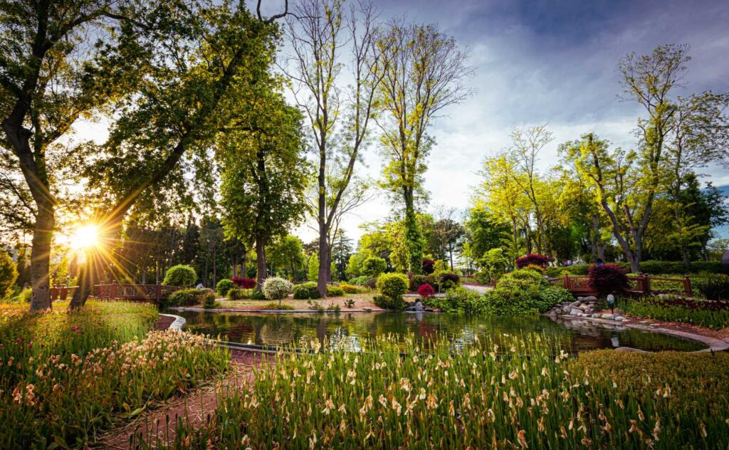 Sunset in a colourful park | Featured image for the Landscaping Essentials - Estimating blog from Centenary Landscaping Supplies.